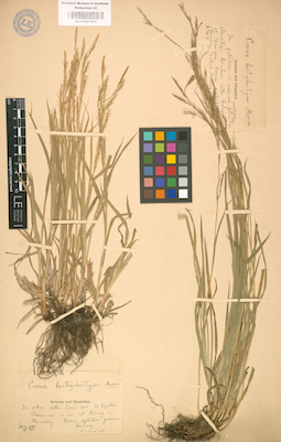 LE 01001221