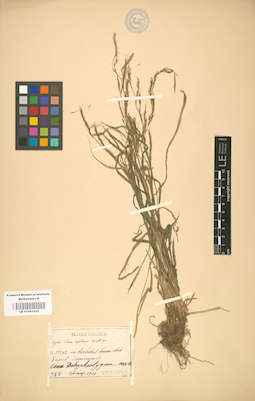 LE 01001222