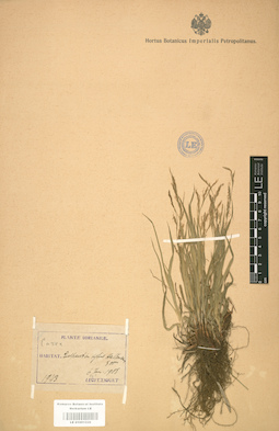 LE 01001226