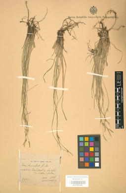 LE 01001228