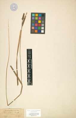LE 01001231