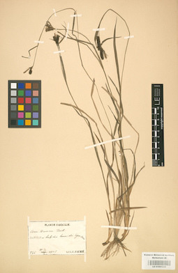 LE 01001232