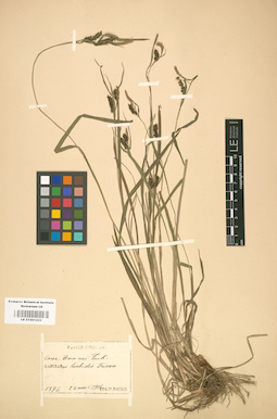 LE 01001233