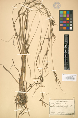 LE 01001234