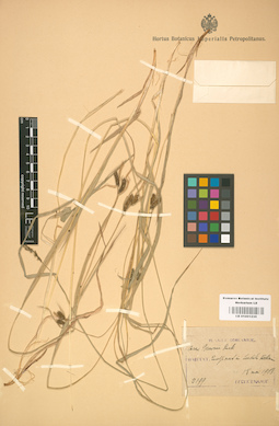 LE 01001235