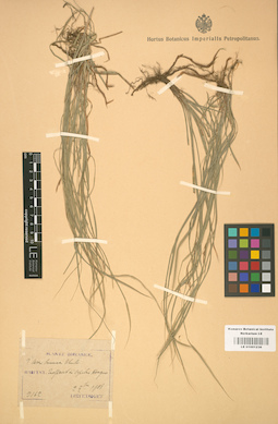 LE 01001236