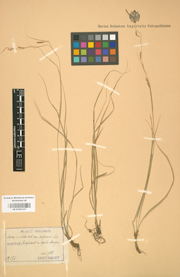 LE 01001237