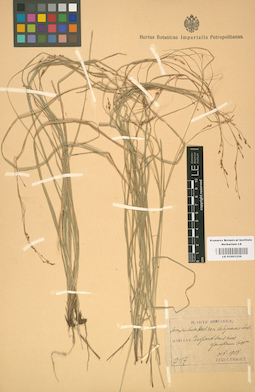 LE 01001239