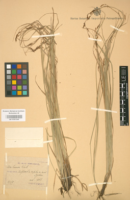 LE 01001240