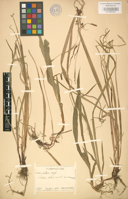 LE 01001241