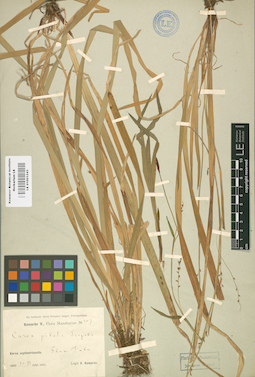 LE 01001243