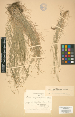 LE 01001249