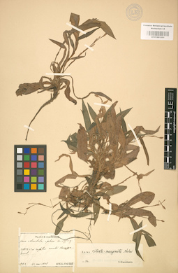 LE 01001251