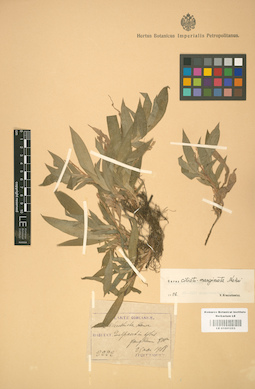 LE 01001253