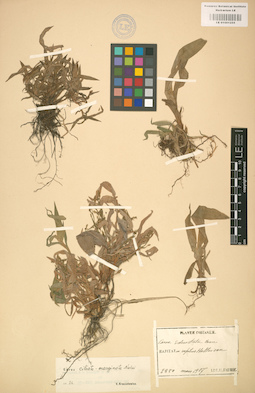 LE 01001255