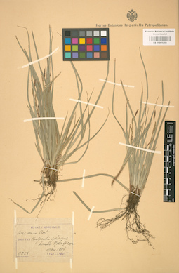LE 01001258