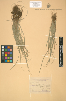 LE 01001259