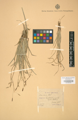 LE 01001261