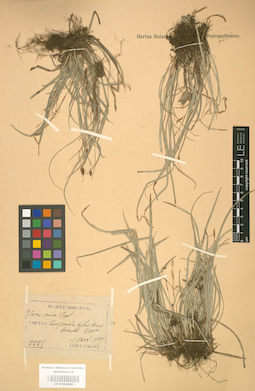 LE 01001262