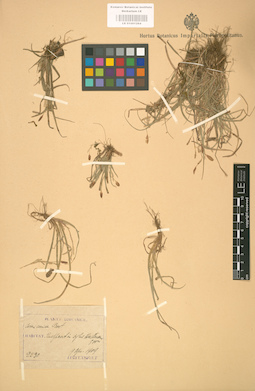 LE 01001264