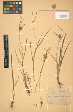 LE 01001265