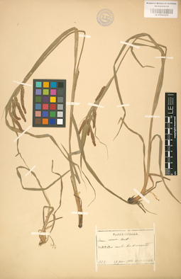 LE 01001270