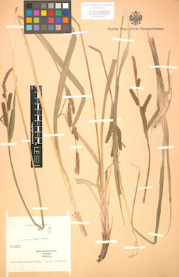 LE 01001271