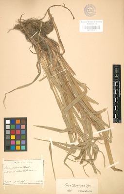 LE 01001273