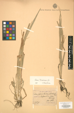 LE 01001274