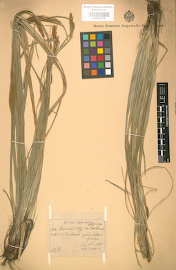 LE 01001275
