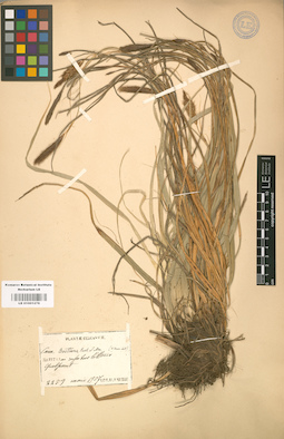 LE 01001276