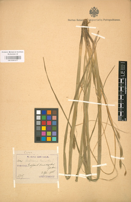LE 01001277
