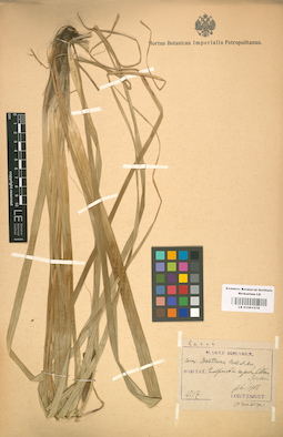 LE 01001278