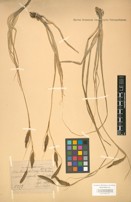 LE 01001279