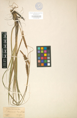 LE 01001280