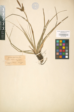 LE 01001281