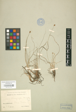 LE 01001283
