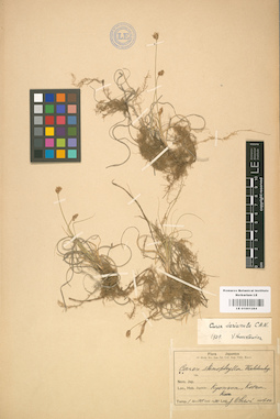 LE 01001284