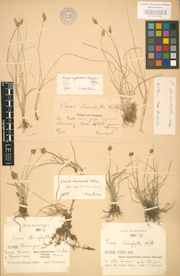 LE 01001285