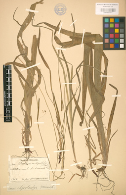 LE 01001287