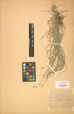 LE 01001288