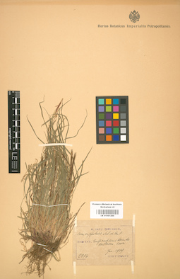 LE 01001289