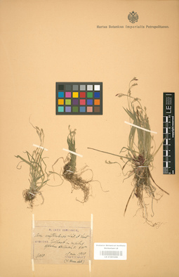 LE 01001290