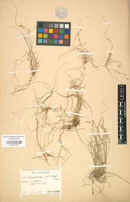 LE 01001291