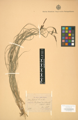 LE 01001292