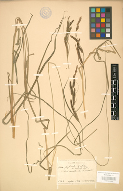 LE 01001293
