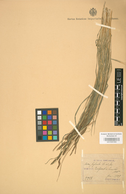 LE 01001294