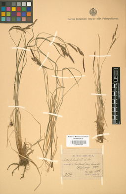 LE 01001295