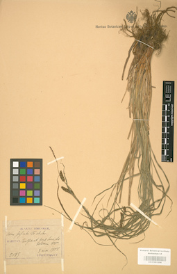 LE 01001296