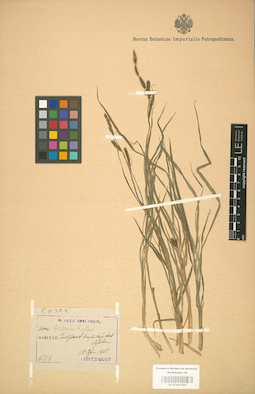 LE 01001297